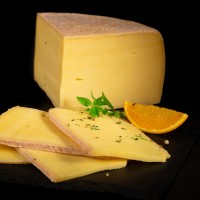 Alpesi medvecsalogató